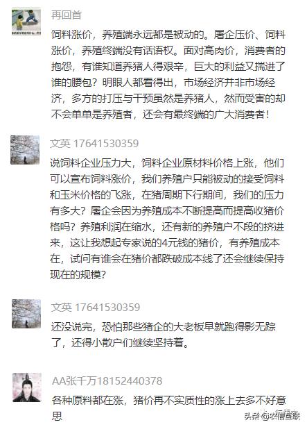 猪价迎来下跌潮2020年猪价预测,猪价何时上涨未来猪价预测