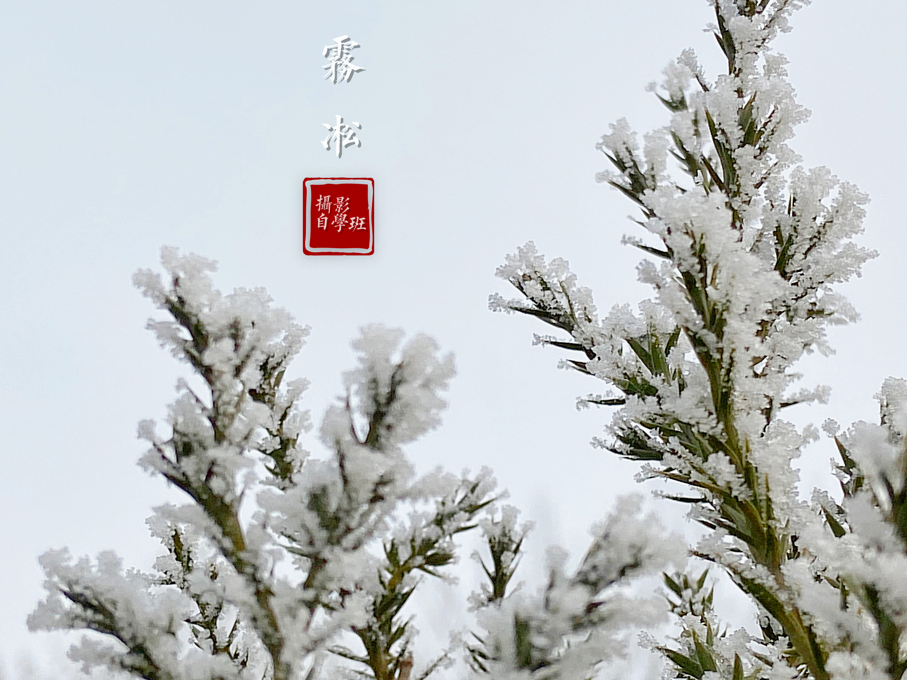 苹果手机拍照需要注意什么,一学就会的iphone手机摄影技巧