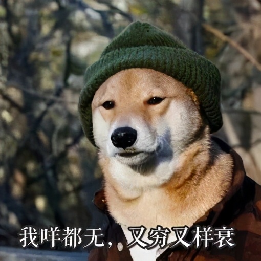 古代牙疼怎么解决的,古人怎么应对牙疼