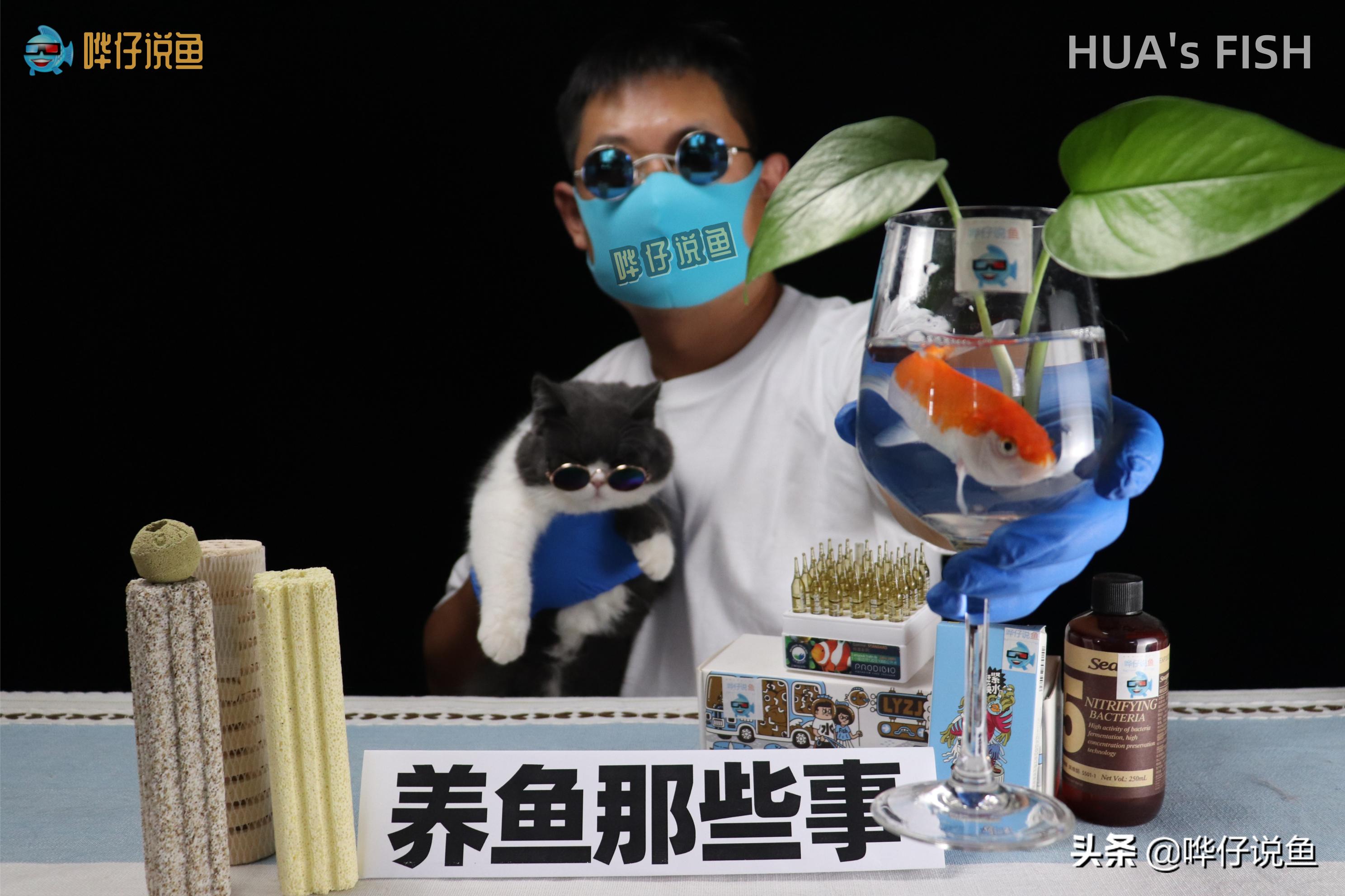 为什么都说硝化细菌是智商税,鱼缸过滤硝化细菌解释图