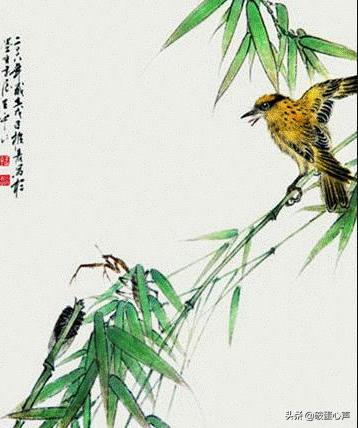 螳螂捕蝉黄雀在后黄雀后面是什么,螳螂捕蝉黄雀在后的黄雀是什么鸟