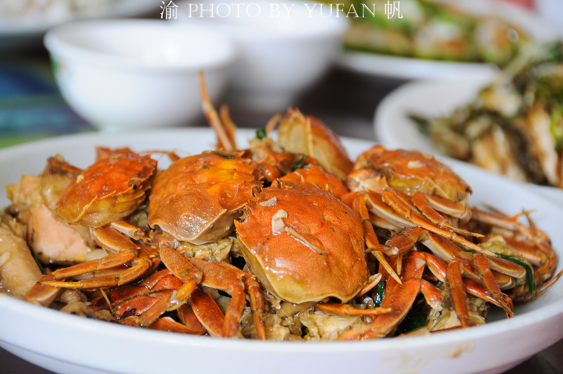 肇庆小众旅行,肇庆后花园美食