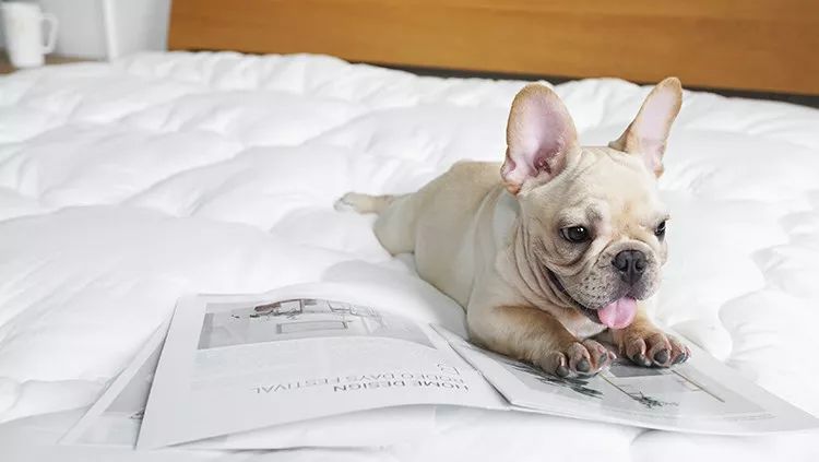 冬天蚕丝保暖被子,冬天蚕丝被被子