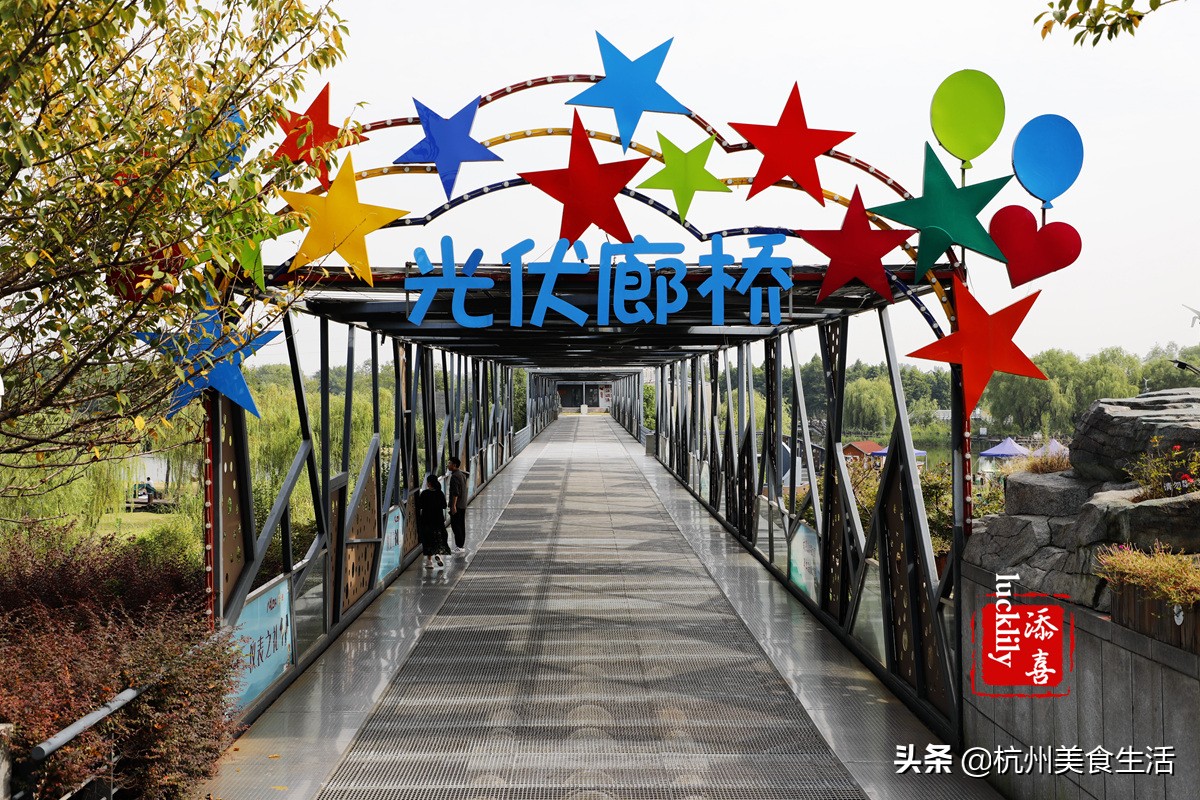 镇江美食三怪,镇江美食推荐锅盖面