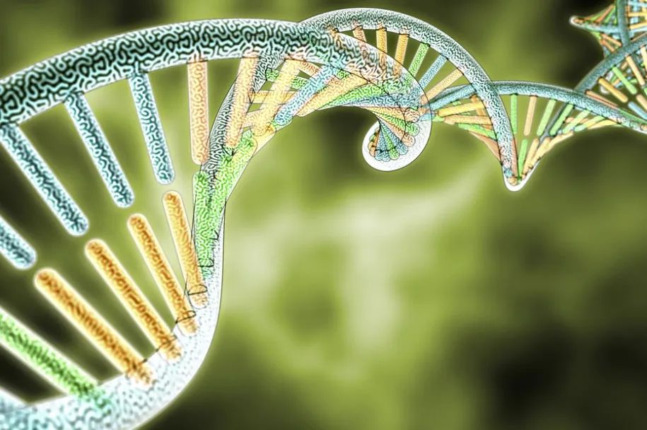 28年前南医女生被杀案详情,28年前南医大女生被杀案告破完整