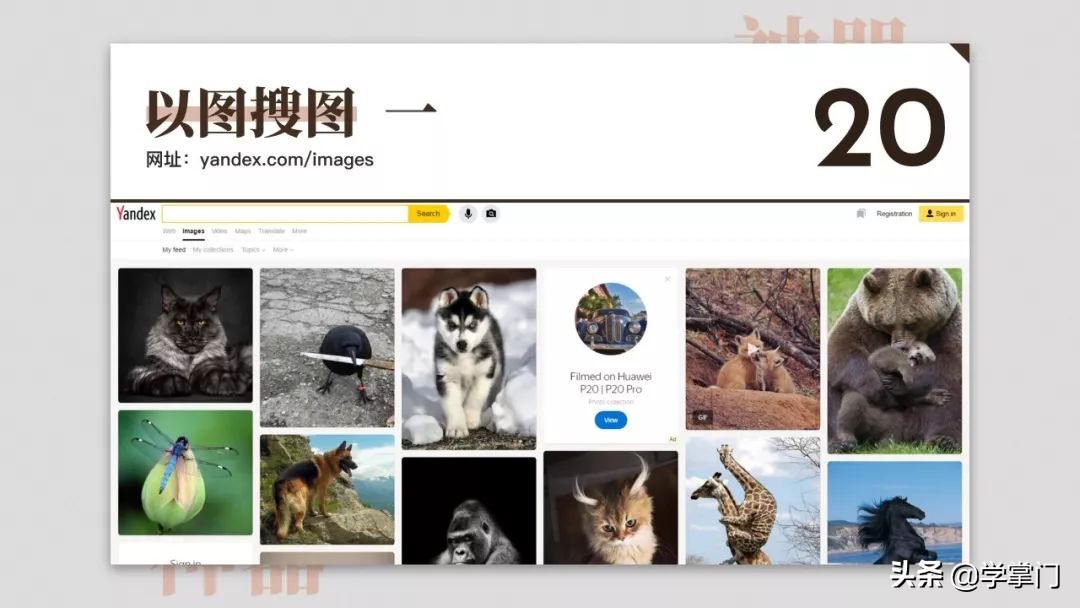 干货分享100个,17个既实用又有趣的神奇网站