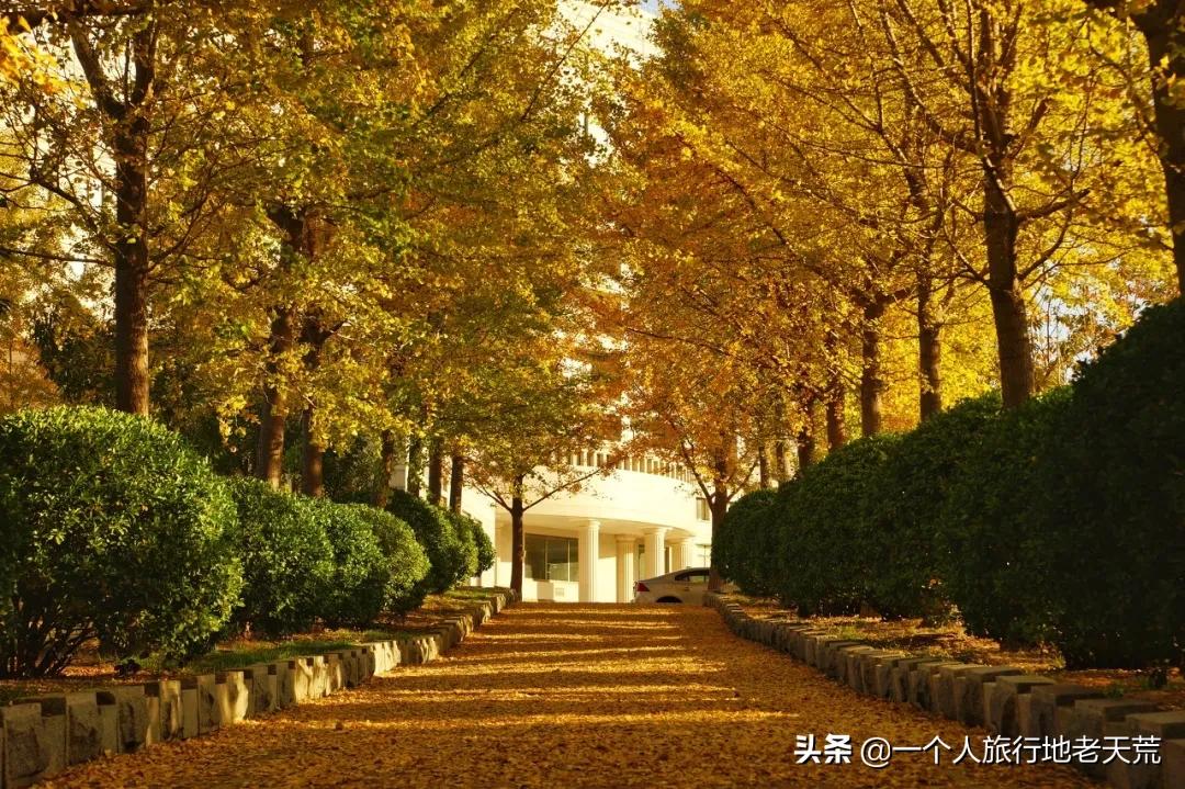 大连最浪漫的十个地方,大连浪漫景色