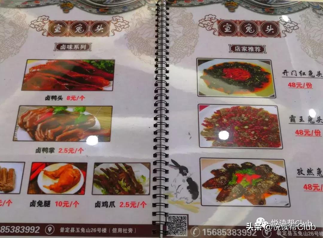 连成都人都赞不绝口的兔头空降安顺！这些兔兔还是安顺人自家养的