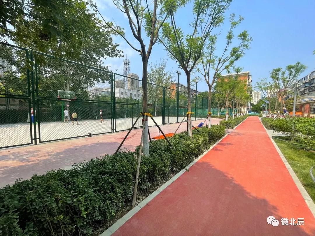 明珠公园二期,明珠公园改造