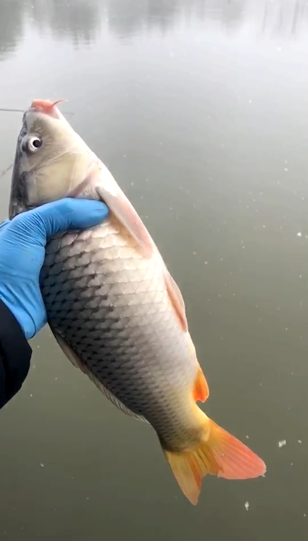 钓鱼的这几大好处，一定要让不钓鱼的人熟知（上）