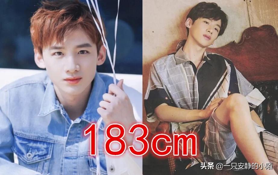 张新成和白敬亭为什么那么像,张新成和白敬亭照片对比