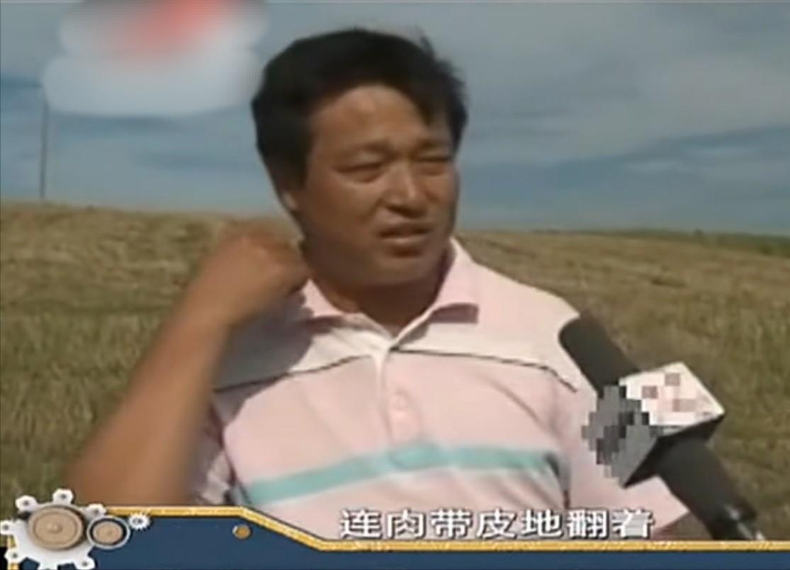 老鹰吃喜鹊被一群喜鹊欺负,老鹰为什么敢捕食毒蛇