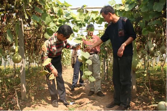 鎵堥瞾,鎵堥瞾鍥界敾