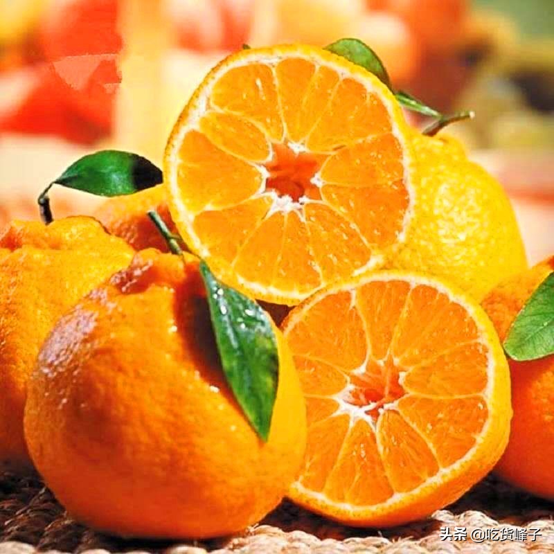丑橘是转基因水果吗能吃吗,丑橘和转基因水果哪个好