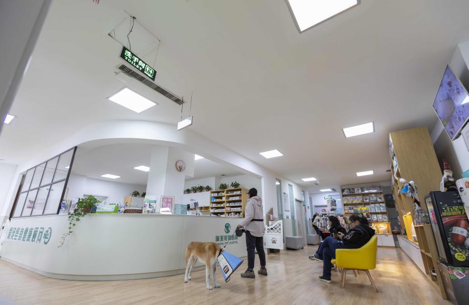 漳州瑞派宠物医院冠城分院,深圳瑞派宠物医院靠谱吗