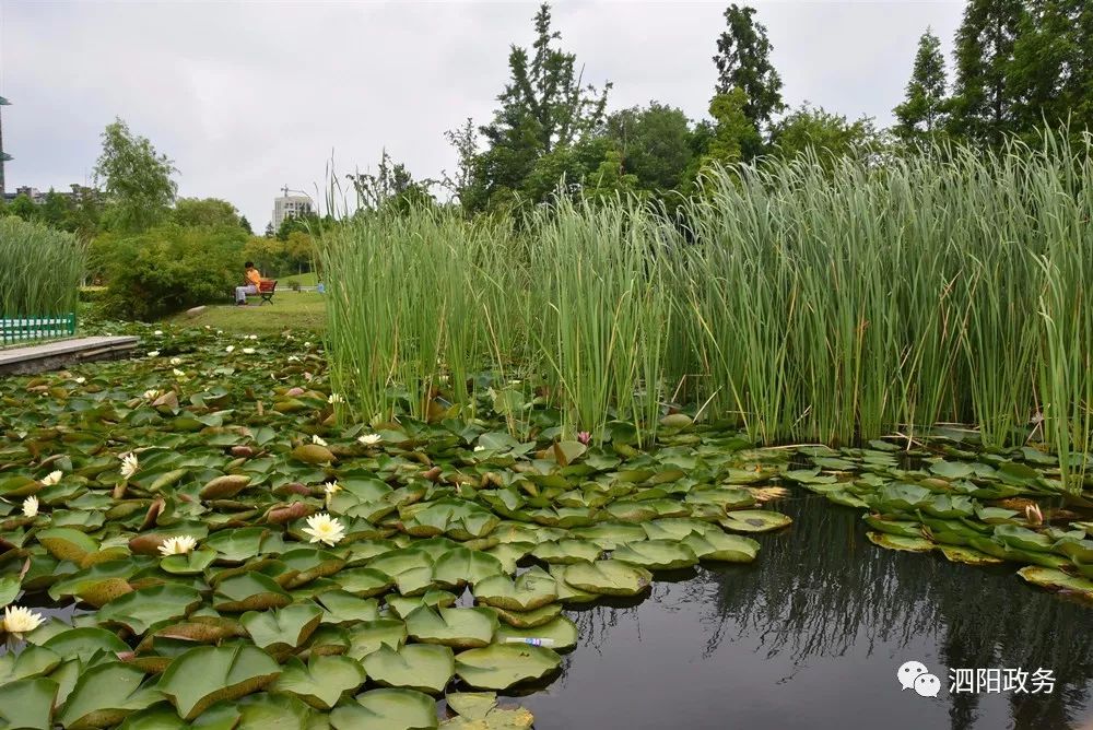 江苏省最美的县城,江苏省五大最美县城