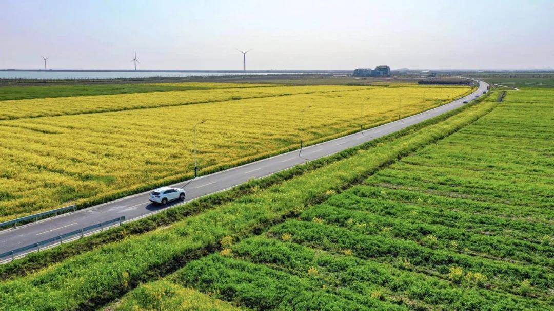 宋卫平杭州别墅,宋卫平杭州湾图片