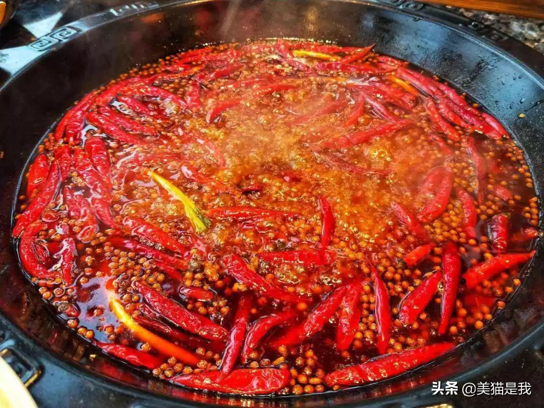 女孩子变瘦吃垃圾食品变胖,如何吃垃圾食品且营养到位