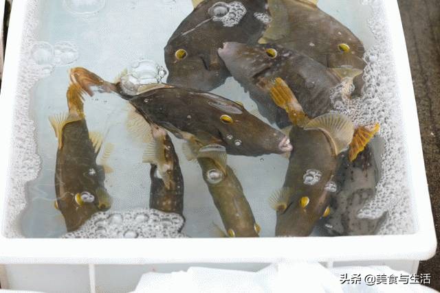 中国十大顶级大型海鲜市场在哪里,全国各大海鲜市场现状