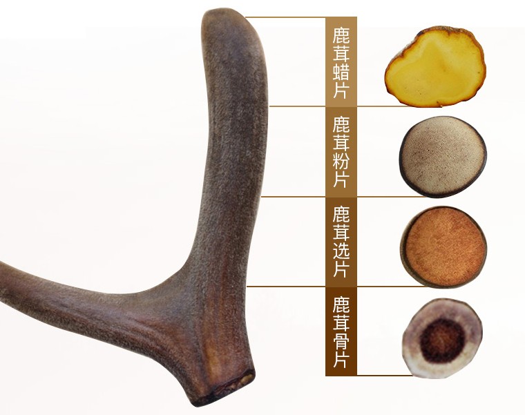 补肾益精鹿茸的功效与应用,补肾精的中草药鹿茸