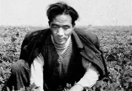 字里行间读“初心”（3）