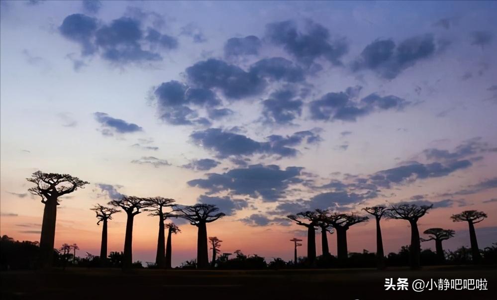 马达加斯加奇葩冷知识,你不知道的国家冷知识摩洛哥