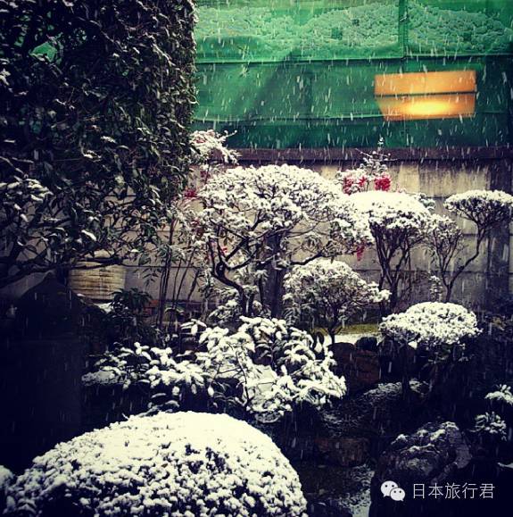 日本京都杂货店有哪些值得去,日本京都有几家店