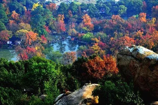 苏州五一不知道去哪里玩,五一不知道去哪就去苏州