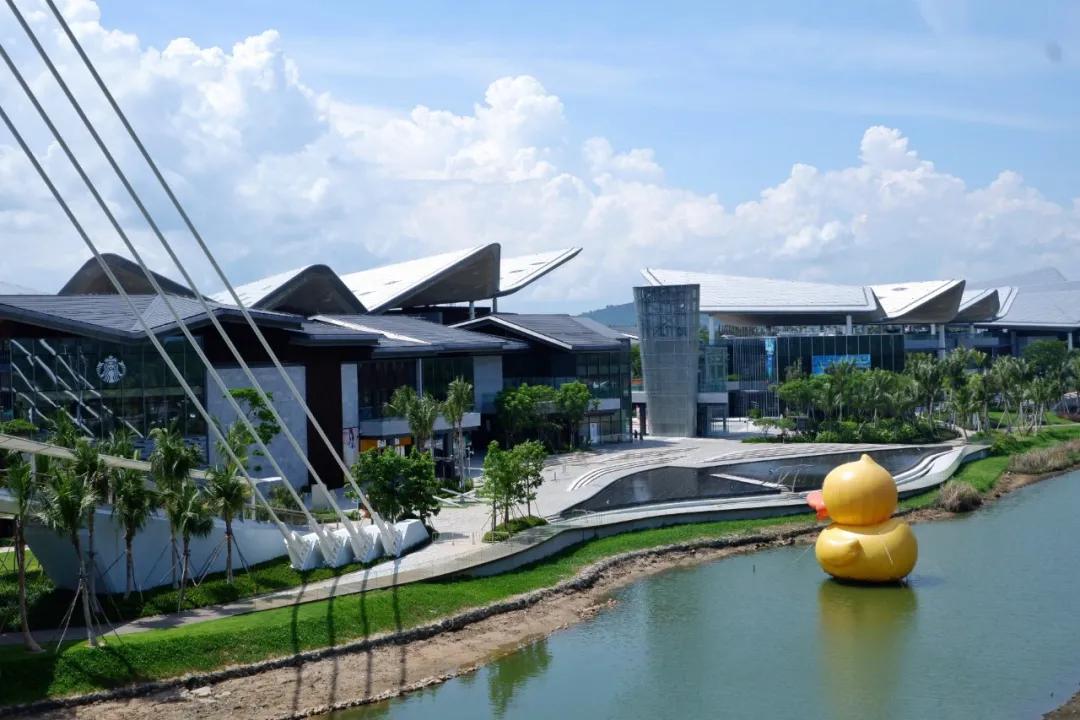 来三亚免税城最值得带什么回去,三亚几个免税城购物攻略