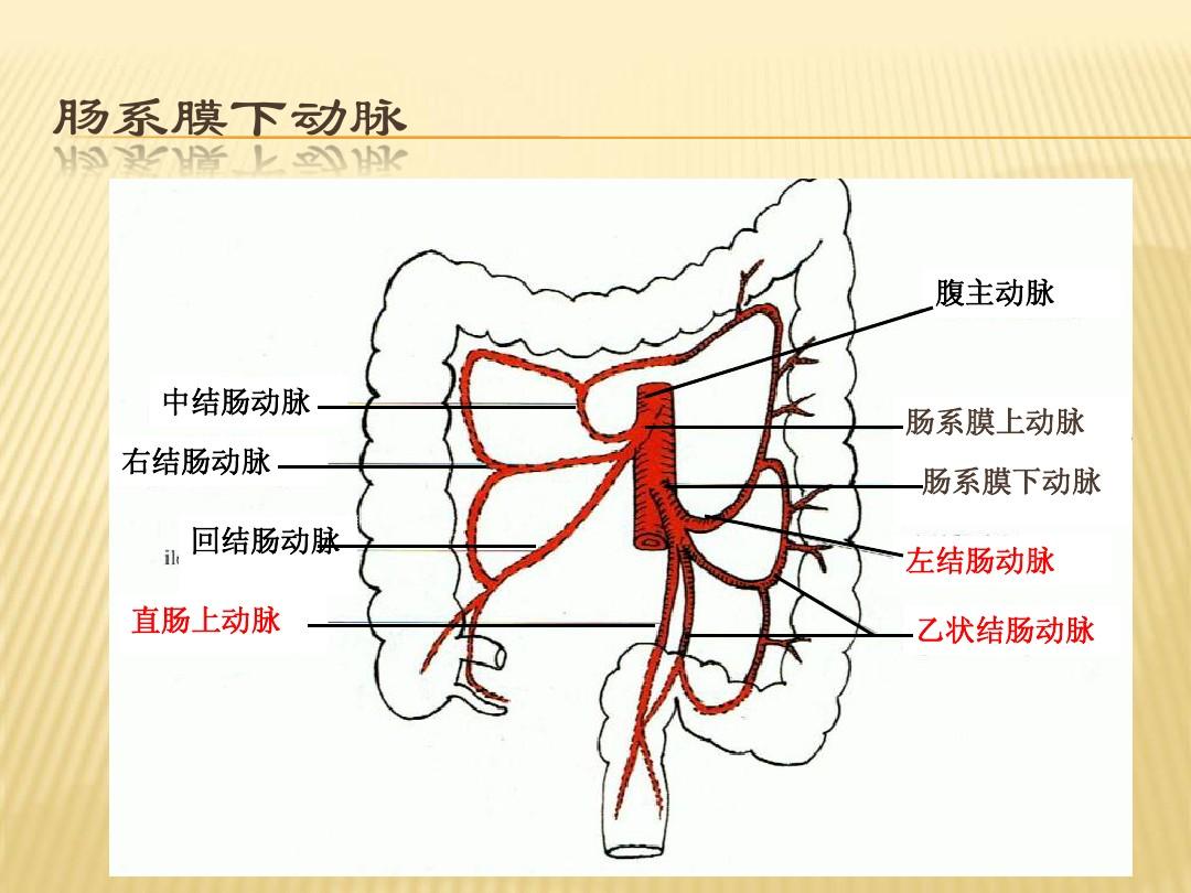 生活中轻轻划一下就血流不止，做手术那么大的切口，为什么不出血