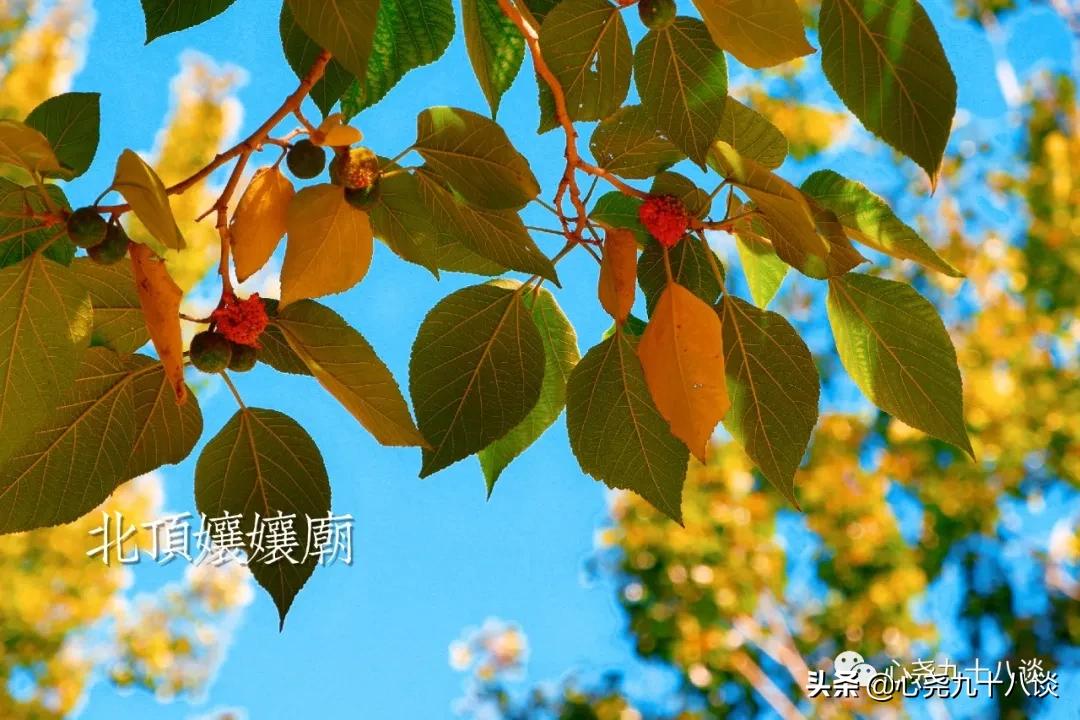 为什么建北顶娘娘庙,北京五顶八庙都是哪些