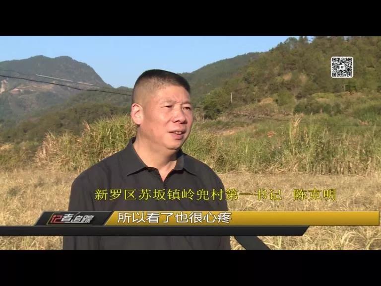 苏坂镇：两年达村级脱贫，驻村书记陈克明把初心写在岭兜的土地上