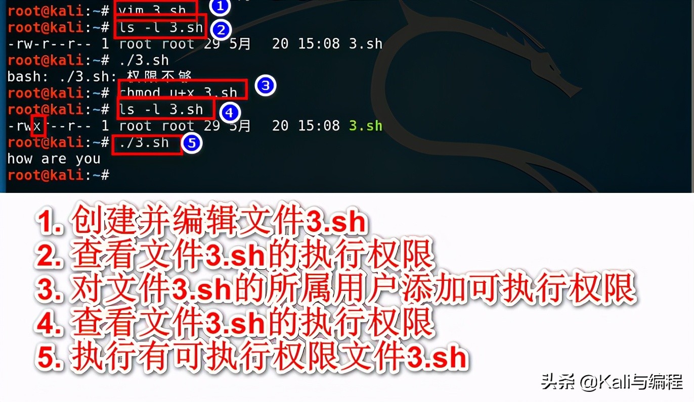 linux创建shell脚本,shell脚本基本知识博客