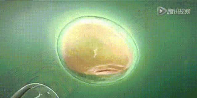 66岁老院长和她操持的百亿级“送子”大生意