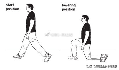 「功能训练」人体额状面稳定性与侧向子系统的关系