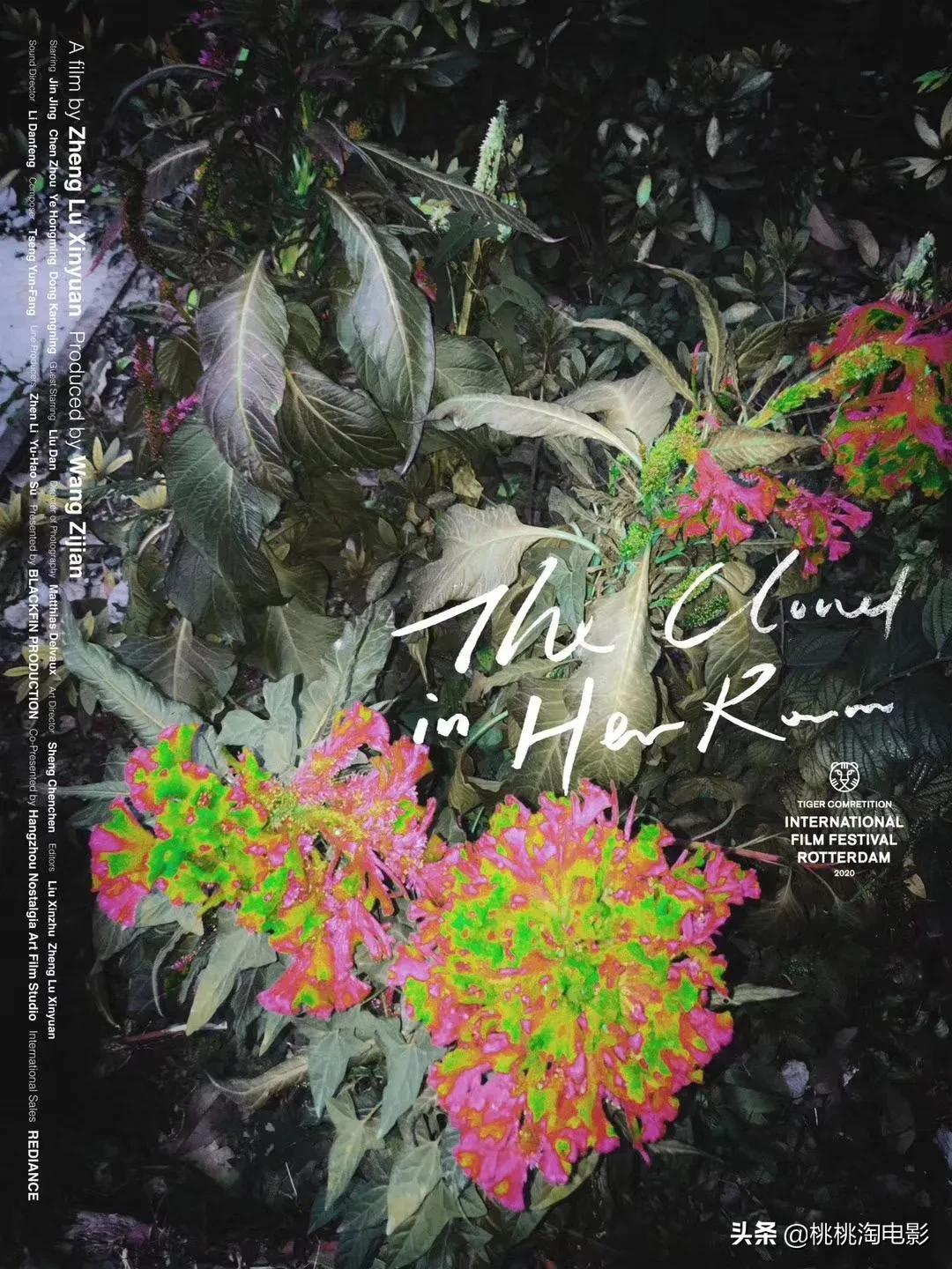 2020国内必看十部电影排行,来了电影精彩片段