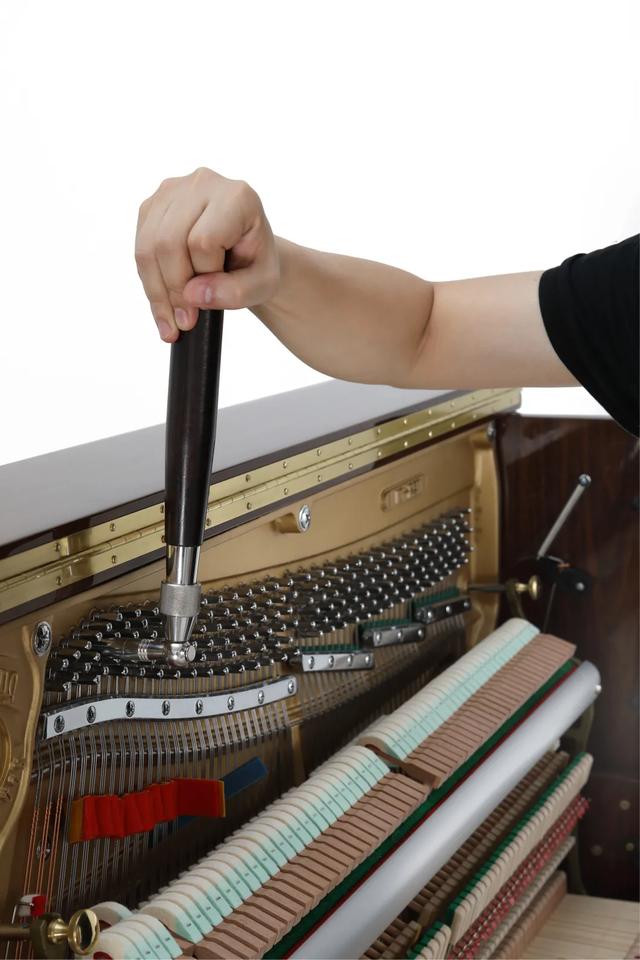 为什么我们不爱听新歌向往的生活,我们为啥不喜欢电音节