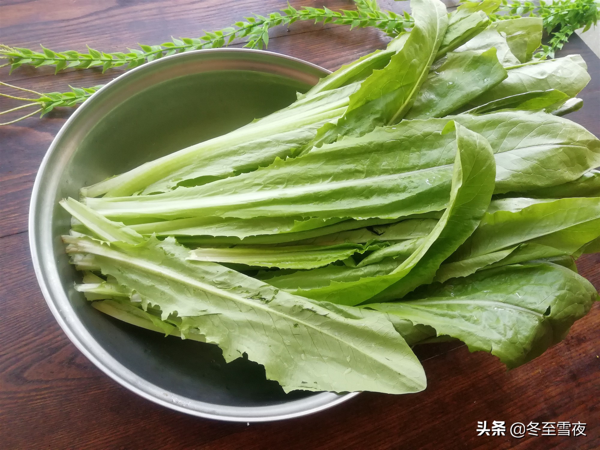 春季吃的这道时令菜清脆又爽口,春天多吃这菜清香脆嫩还去火