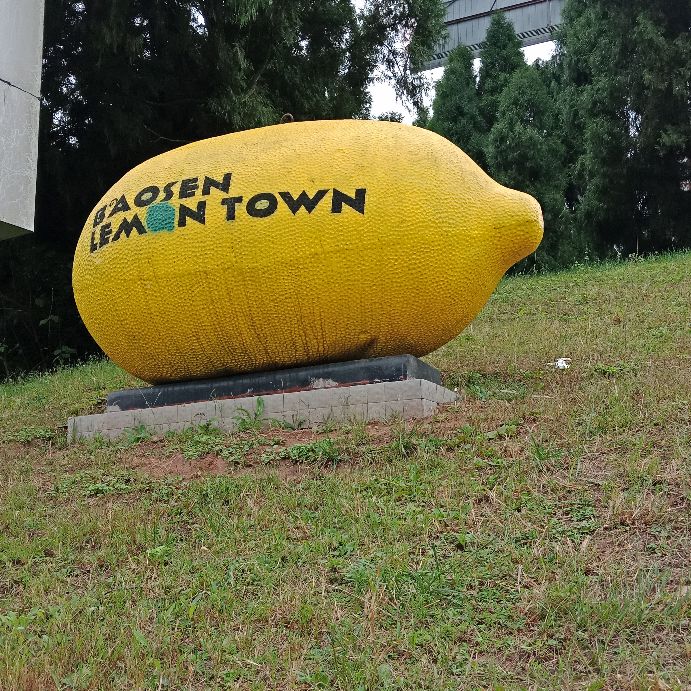 安岳柠檬小镇宝森收门票不,安岳宝森柠檬小镇门票