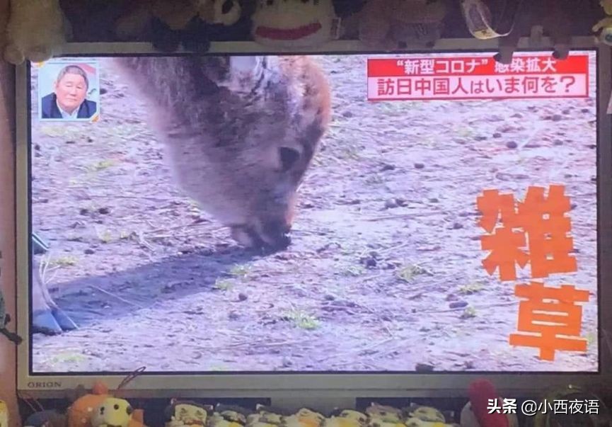 疫情爆发前后，这些景点的对比照片真是太明显了