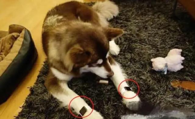 王思聪过得快乐吗,王思聪过得快乐么