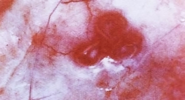 汗血宝马真的出汗流血吗,汗血宝马真的能日行千里吗