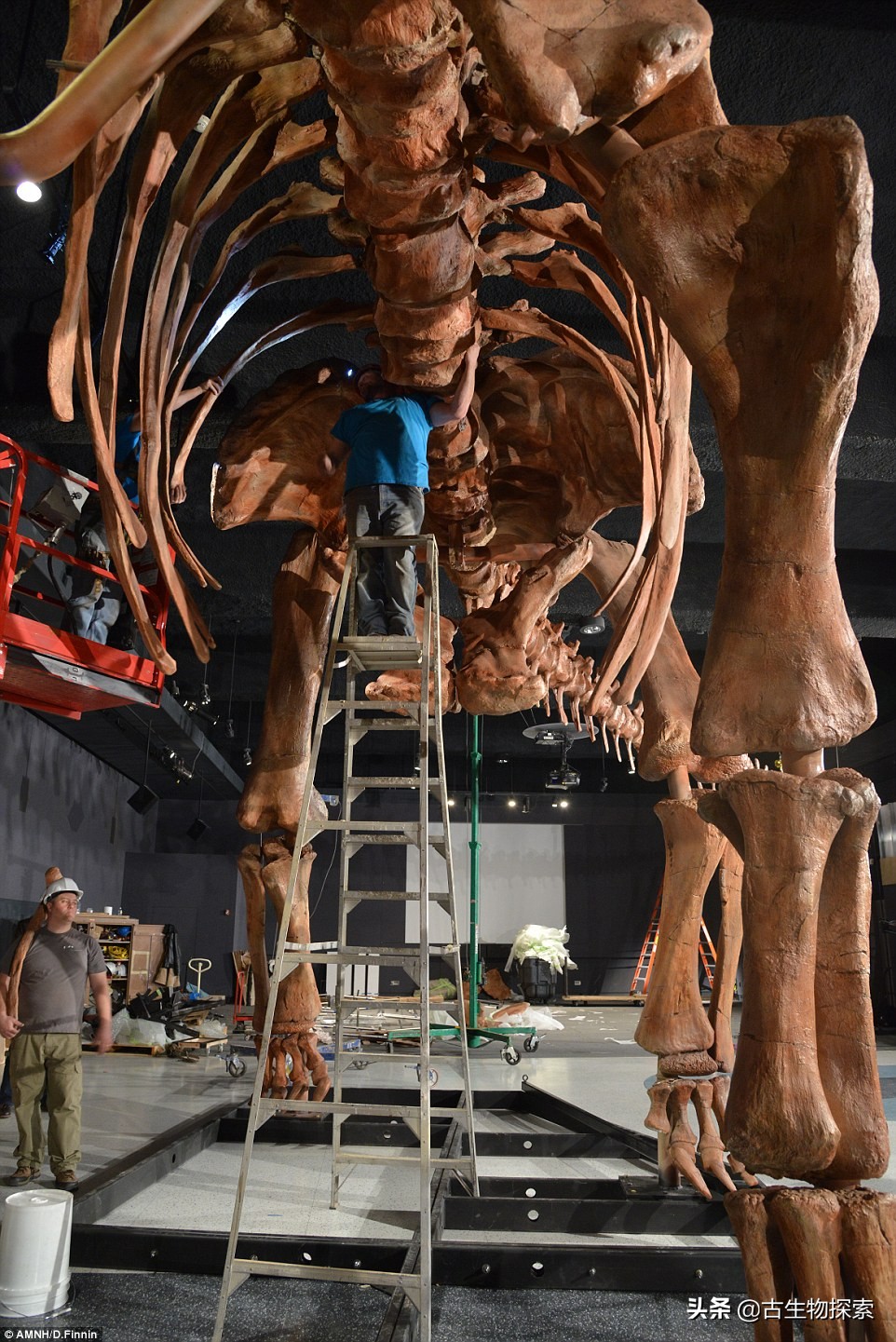 巴塔哥尼亚的巨兽纪录片,巴塔哥泰坦龙介绍