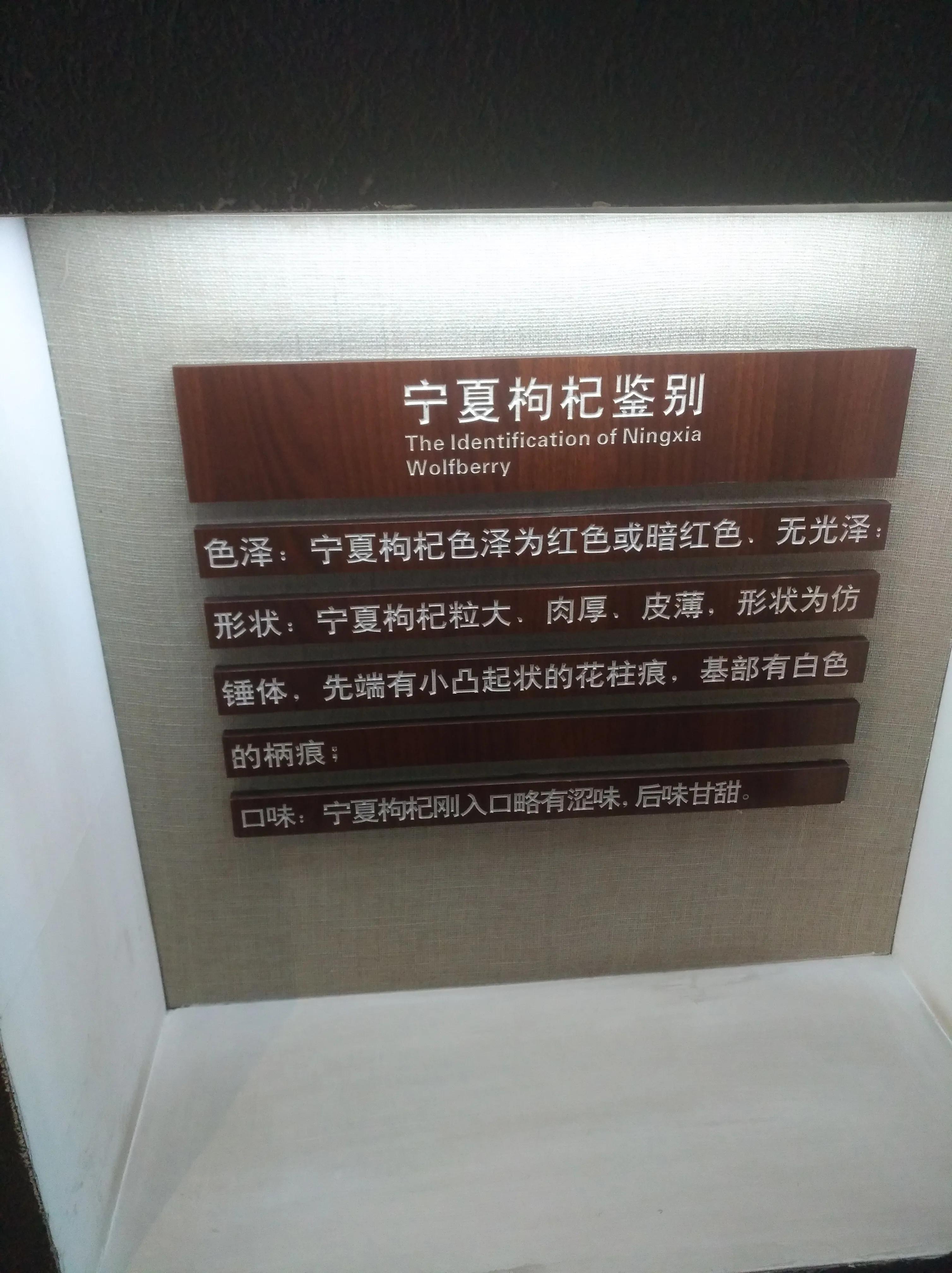 参观观摩学习心得体会,宁夏百瑞源车间参观