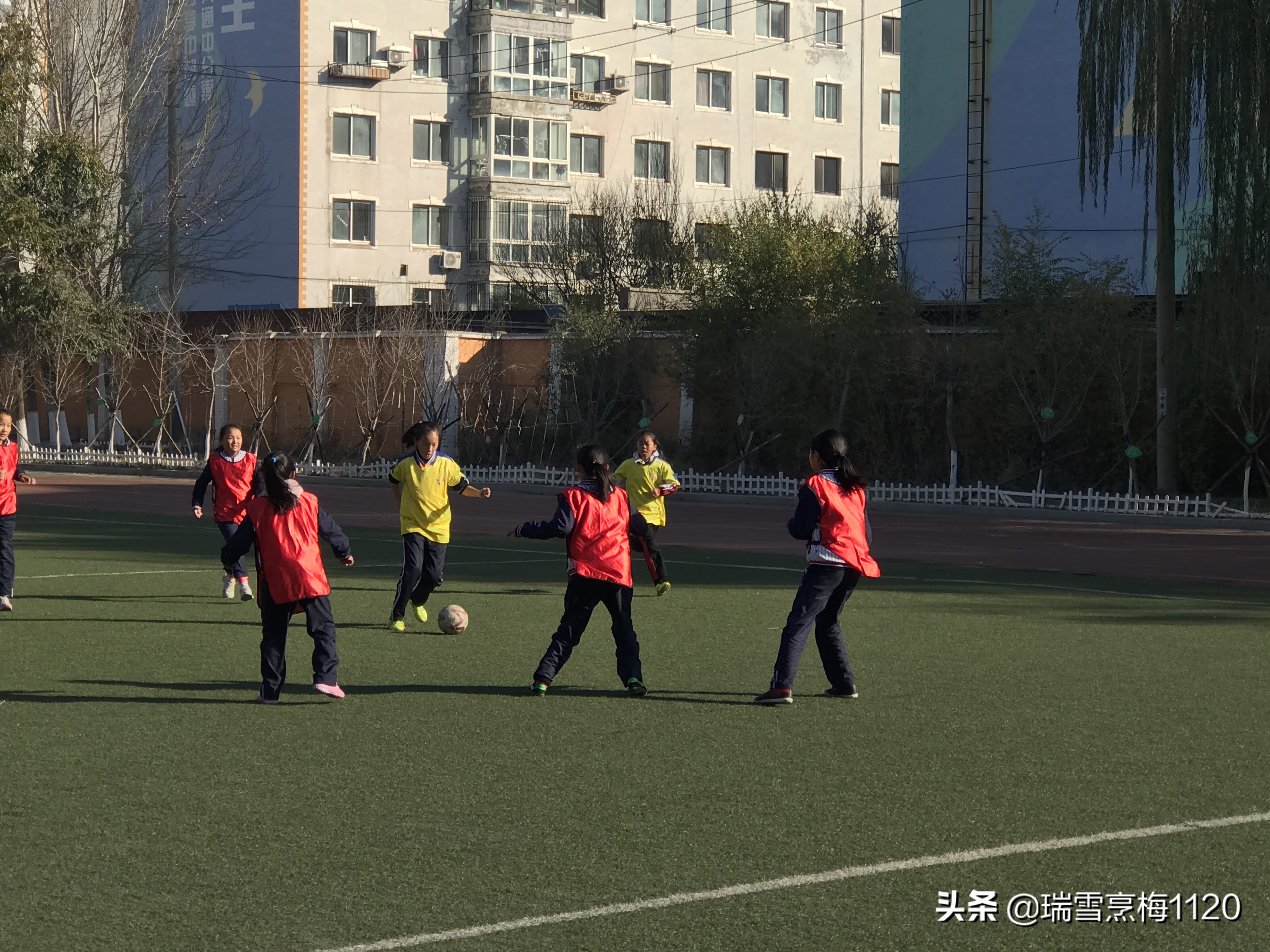 新城子街第一小学喜报,厉害杨浦足球小将斩获市运会冠军