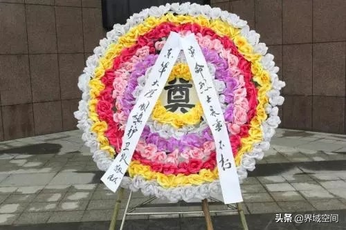 大长腿考拉，关系混乱的水果们……分享十个你不知道的冷知识