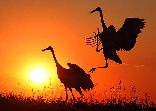 成语归类摘抄,成语归纳给孩子收藏吧