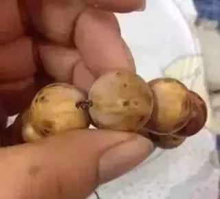 手串发霉退浆了怎么办,沉香手串发霉了怎么处理