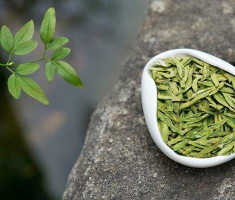 走进杭州带你了解真正的西湖龙井,西湖龙井怎样识别陈茶和新茶