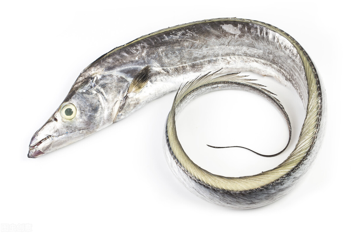 普通人家常吃的十种海鱼,盘点美味又便宜的5种海鱼